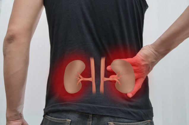 Гигиена и профилактика заболеваний почек