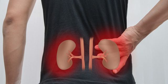 Гигиена и профилактика заболеваний почек