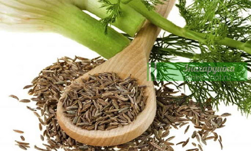 Рецепты Ванги для лечения почек