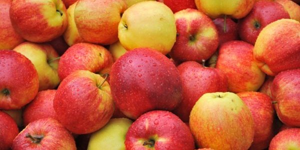 Медики заявили о способности яблок сокращать риск болезней сердца