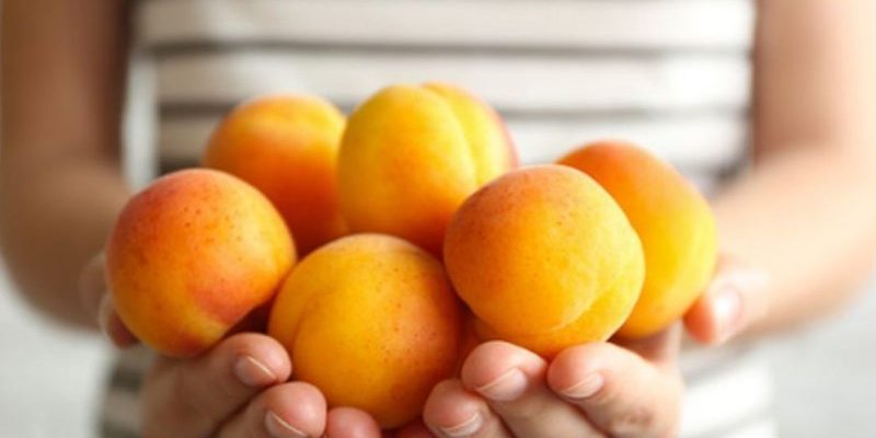 Диетолог Стародубова рассказала, как могут навредить здоровью абрикосы