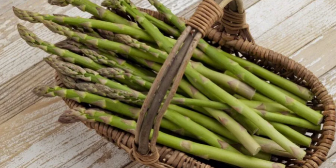 Названы целебные свойства спаржи — Медицина 2.0