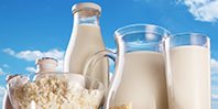 Цельные молочные продукты — спасение от сердечно-сосудистых заболеваний