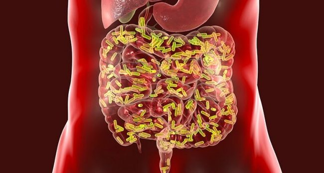 Ученые обнаружили связь микробов кишечника с заболеванием мозга