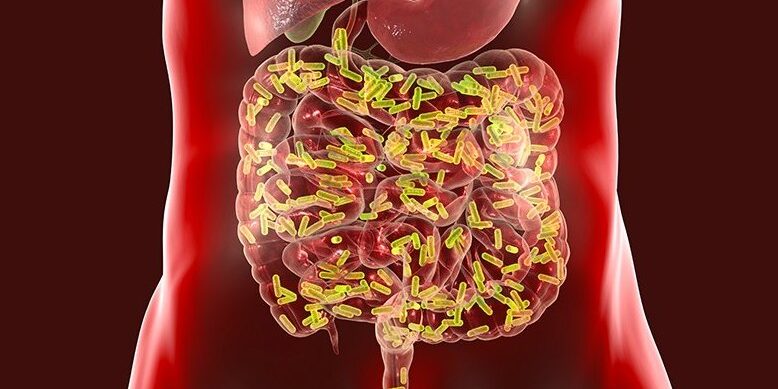 Ученые обнаружили связь микробов кишечника с заболеванием мозга