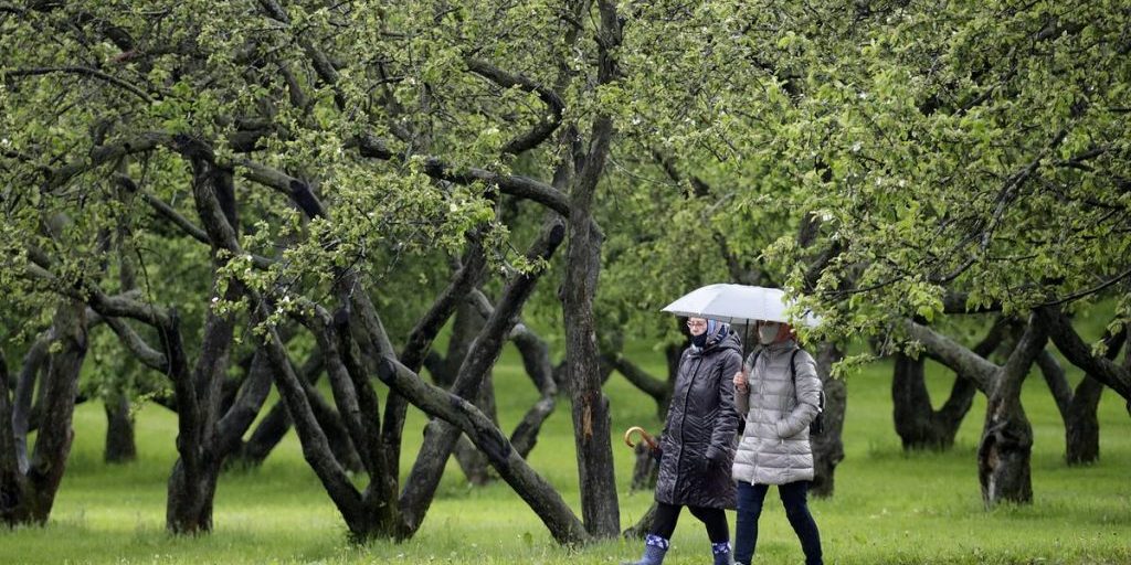 Заражение коронавирусом может привести к продолжительной утрате обоняния и вкуса — Общество