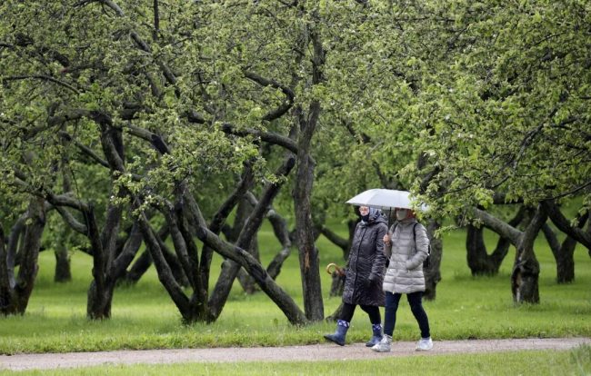 Заражение коронавирусом может привести к продолжительной утрате обоняния и вкуса — Общество