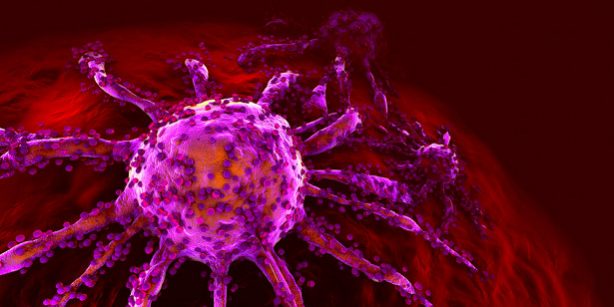 В раковых клетках нашли защиту против вирусов