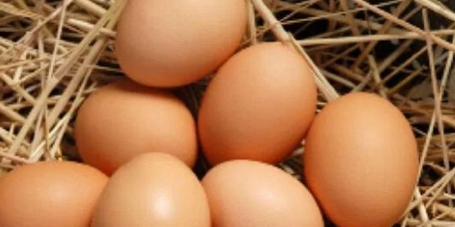 Названы продукты, помогающие сохранить память