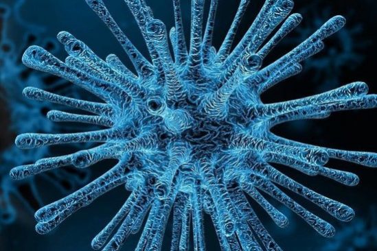 Иммунолог Крючков рассказал о загадках коронавируса