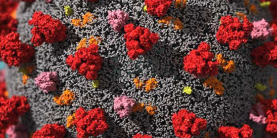 COVID-19 вызывает длительные сбои в работе иммунной системы