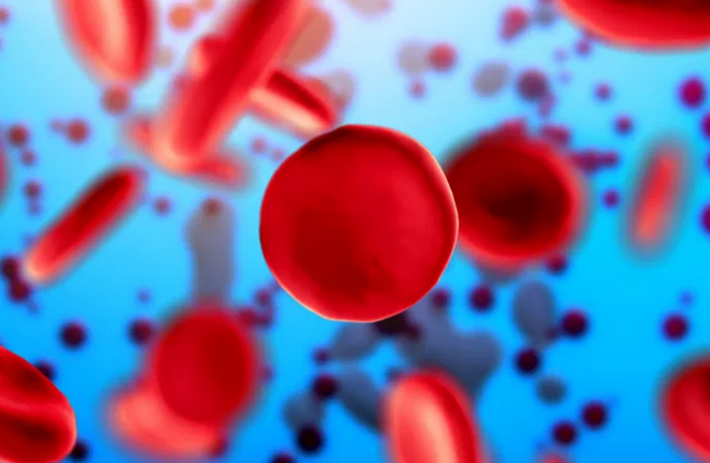 Названы главные причины образования тромбов