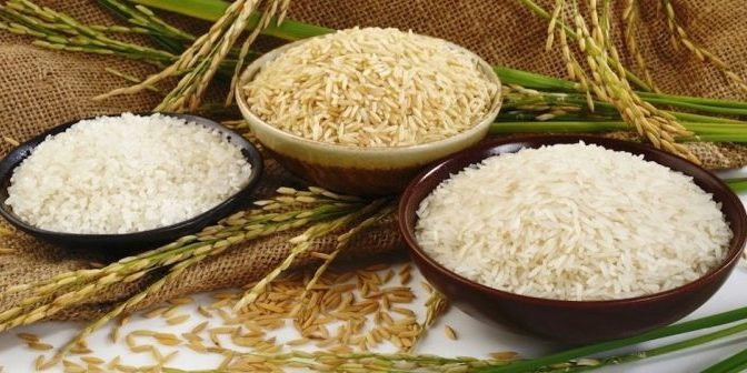 Ученые выявили уникальное свойство риса