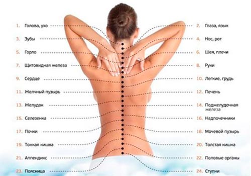 Бытовые причины болей в спине — как предотвратить
