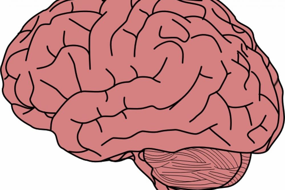 Аутизм можно обнаружить до рождения