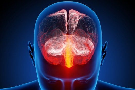 Каким физиологическим изменениям подвергается мозг в результате депрессии?