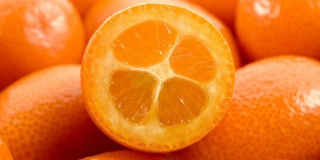 Кумкват: Декоративный мандарин может быть эффективен против рака и целого ряда других заболеваний