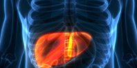 Многие недооценивают важность здоровья печени, констатируют медики