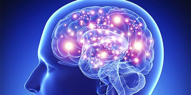Названы эффективные способы замедлить старение мозга