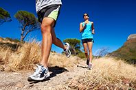 Ученые пролили свет на процессы, которые могут повысить выносливость организма