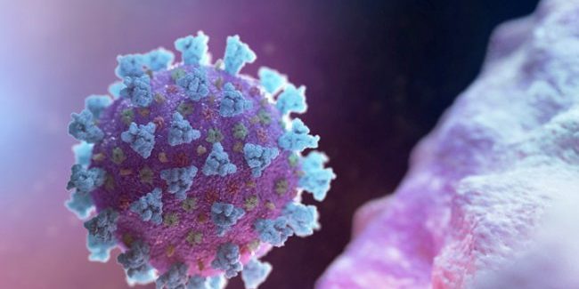 Ученые выдвинули новую версию происхождения коронавируса