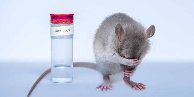 Ученые научились предотвращать COVID-19? — Медицина 2.0