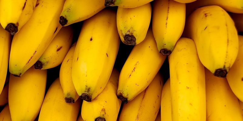 Диетолог рассказала, как похудеть с помощью бананов