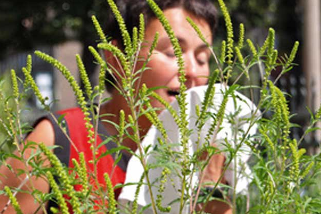 Аллерголог Надежда Логина развеяла популярный миф об аллергии