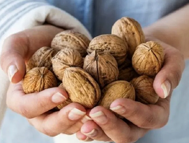 Диетологи рассказали, кому опасно есть орехи