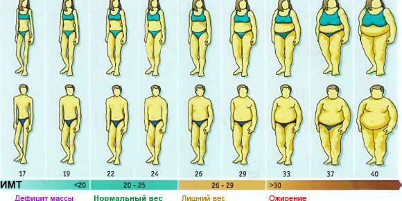 Ожирение при нормальном весе: неужели такое возможно?