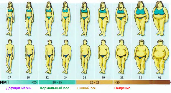 Ожирение при нормальном весе: неужели такое возможно?