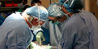 Старые донорские органы возможно омолодить, заявляют эксперты