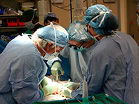 Старые донорские органы возможно омолодить, заявляют эксперты