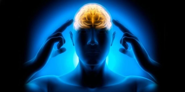 В каком возрасте мозг достигает пика своих возможностей