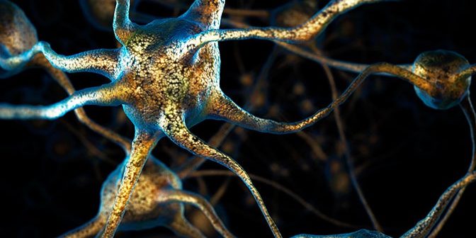 Ученые выяснили, что происходит с человеческим мозгом после смерти