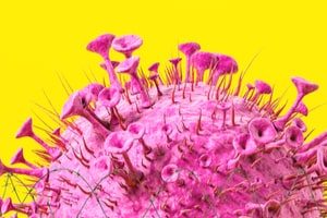 Минздрав обязал регионы обеспечить резерв коек для пациентов с коронавирусом