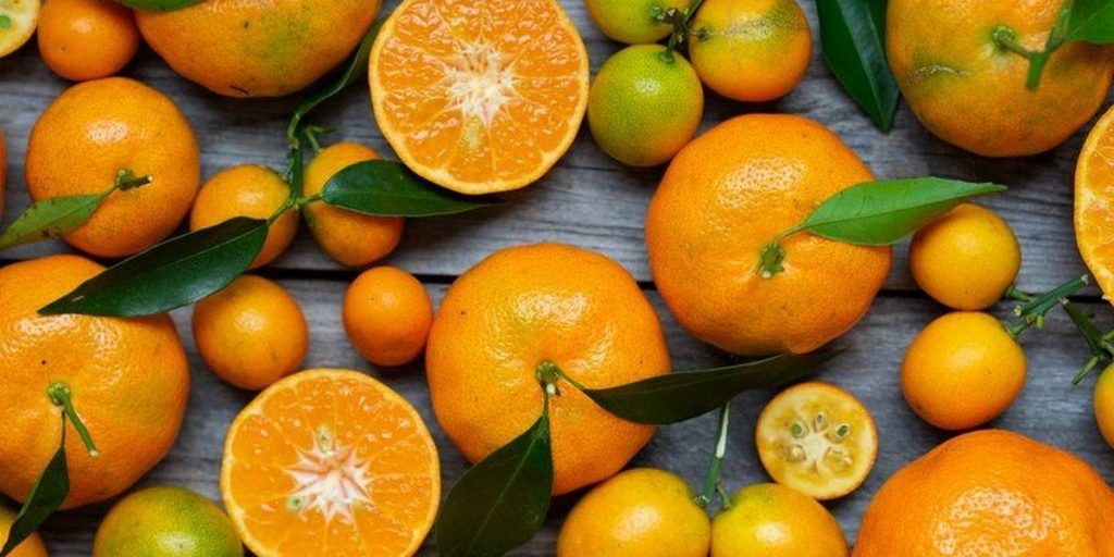 Ученые раскрыли неожиданный вред апельсинов