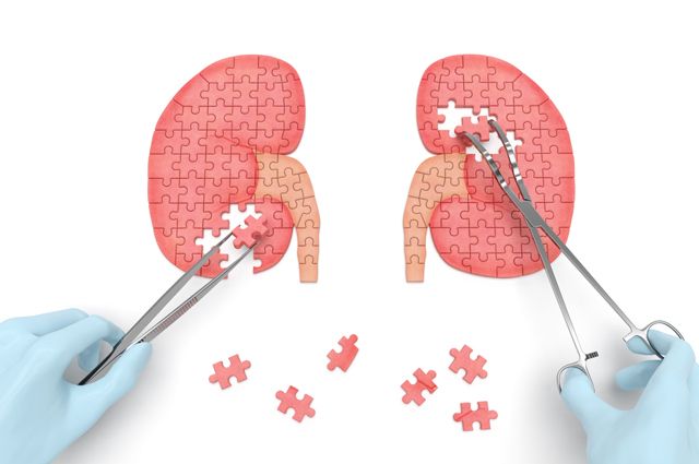 Пиелонефрит: симптомы и признаки опасной болезни почек