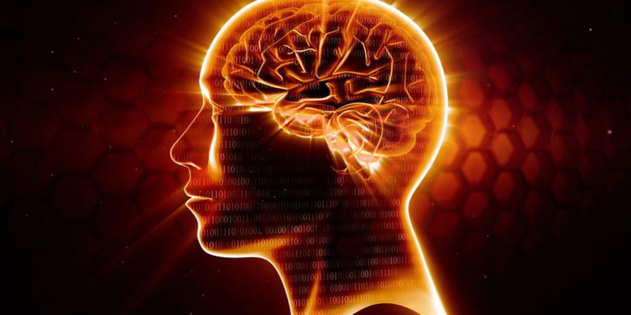 Правильный рацион позволит сохранить мозг в рабочем состоянии на протяжении жизни