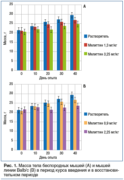 Рис. 1. Масса тела беспородных мышей (А) и мышей линии Balb/c (В) в
