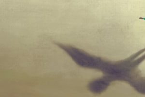 Пациентские организации просят включить в «Круг добра» все орфанные заболевания