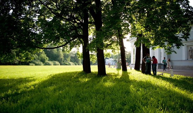 Кардиологи советуют жить в максимально зеленых районах