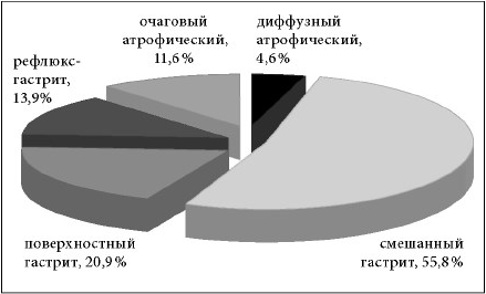 Рис. 1. Структурные особенности слизистой оболочки желудка у пациентов с отсутствием желчного пузыря в сроки от 1 до 3 лет после холецистэктомии 