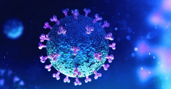 Израильские ученые составили профиль коронавируса