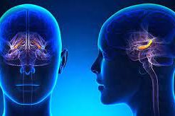 Психиатр называет четыре способа замедлить возрастной упадок функций мозга