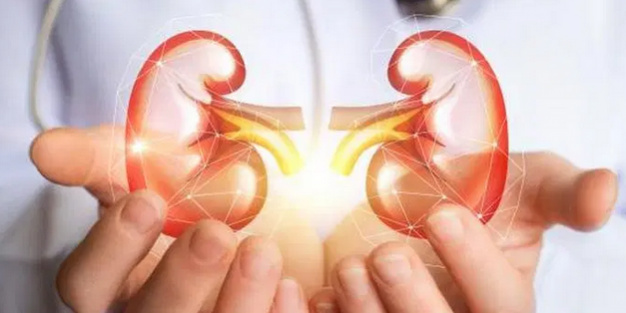 Названы продукты, вызывающие хронические болезни почек