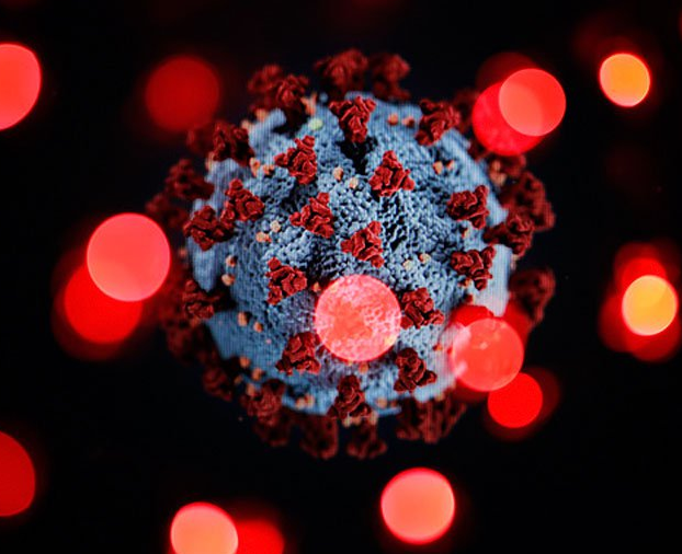 Ученые обнаружили вещества, блокирующие коронавирус