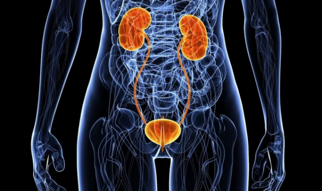 Вакцинация по новой схеме поможет побороть инфекции мочевыводящей системы