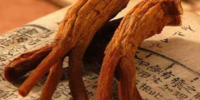 Женьшень может подавлять метастазы рака легких