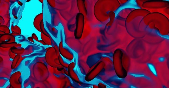 Ученые выявили связь между долголетием и уровнем железа в крови